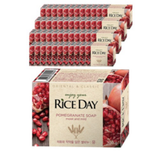 라이스데이 비누 유