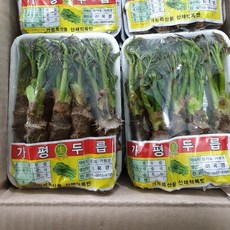 영호네농산물 햇두릅 나무두릅, 1개, 150g