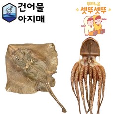 마른피문어