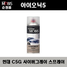 순정품 현대 아이오닉5 C5G 사이버그레이 스프레이 자동차 차량용 도색 카페인트, C5G 사이버그레이 스프레이(모비스)