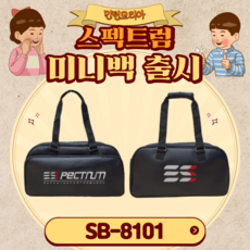 스펙트럼가방 TOP01