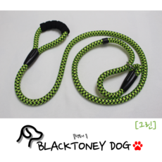 블랙토니독 BLACKTONEY DOG 중형견 대형견 목줄&리드줄 일체형, 1개, 그린