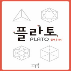 플라토입체주머니