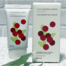 청미정 크랜베리 비비크림 40ml 유기농비비크림 유기농베이스크림 유기농bb크림 청미정비비크림 청미정bb크림, 1개