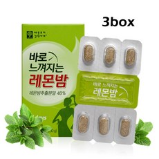레몬밤효능