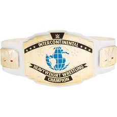 레슬링 WWE 미국 챔피언십 벨트 1/6 커스텀 루즈