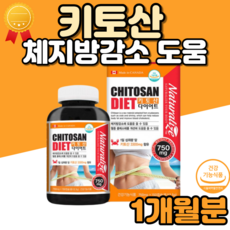 화이버넷태블릿