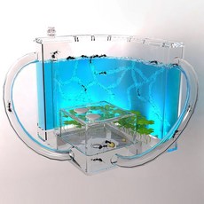 대구개미키우기