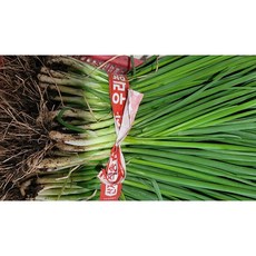 쪽파 노지재배 수확 발송 1kg 1개 1kg[원산지:국산(전라북도 부안군)], 2개