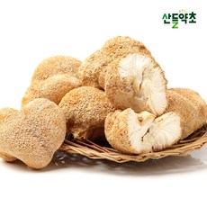 노루궁뎅이버섯 250g 국산, 1팩, 1개