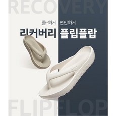 디스커버리플립플랍