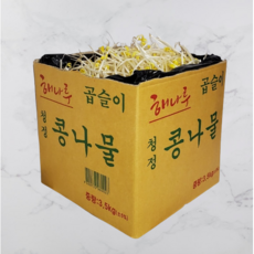 [푸른진]곱슬이 콩나물 1박스 3.5kg 맛있는 꼬불이 콩나물, 1개