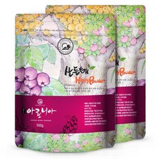 국산 동결건조 아로니아분말, 500g, 2개