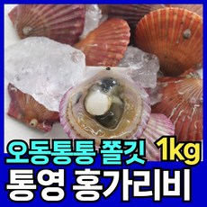 최상품질 홍가리비 통영 제철 가리비 핏시드, 1개, 1kg(25미 내외)
