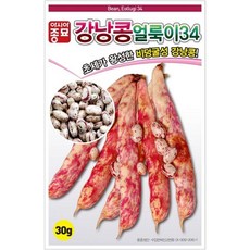 콩씨앗종자) 울타리 강낭콩(20g) S2576, 1개