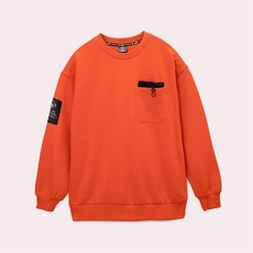 포켓2s