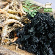 까사리파래