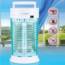 알로코리아모기