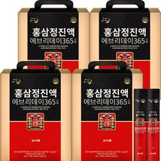 순수식품 홍삼정진액 에브리데이 365 스틱, 10g, 400개