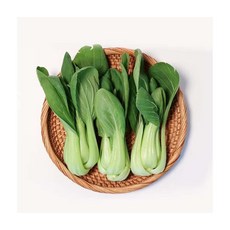 농협선별 아삭한 청경채 1kg, ONE COLOR, ONE SIZE