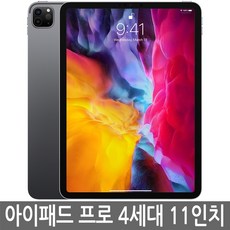 아이패드 프로 4세대(2세대) 11인치 128GB 256GB 정품