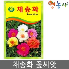 채송화 씨앗 250립 꽃씨 종자 영농사, 1개