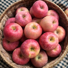 청년농부 당도선별 사과, 1개, 10kg 가정용 (대과)