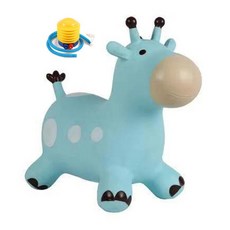 에어바이킹대여