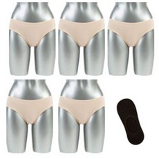 넬라판타지아5종
