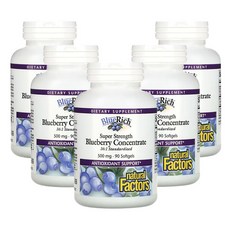 네츄럴팩터스 BlueRich 초강력 블루베리 농축액 500mg 소프트젤 90정, 5개