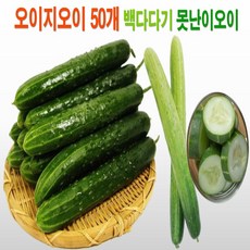 오이제철