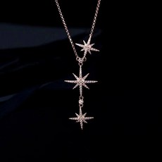 장미목걸이상자