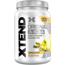 싸이베이션 Scivation 엑스텐드 오리지널 Xtend BCAA 90serving, 1개, 1.22kg