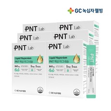 GC녹십자웰빙 PNT 흡수 빠른 액상 마그네슘 비타민B1 B6 망고맛, 600ml, 6개