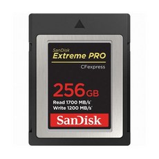 sandisk256gb익스트림프로cfexpress