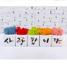 스마일컴퍼니 스칸디아모스 캘리그라피 화분세트 공기정화식물 선물 개업 집들이, 01_(가)_사랑합니다 캘리모스 세트
