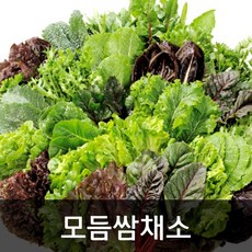 약수농장 모듬쌈채소 2kg, 1박스