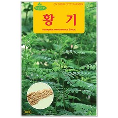 황기 300립, 1개