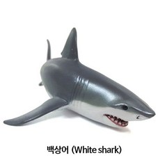 파포해양동물