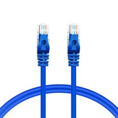 AVIVE 고급형 UTP 30m CAT6 랜선 케이블, BLUE, 1개