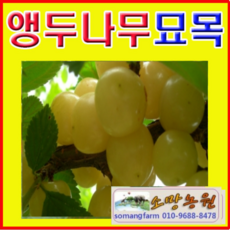 f99f085972621f5d9c40a03030ee4528b544557f0af306892ae57ff1b7c2.png