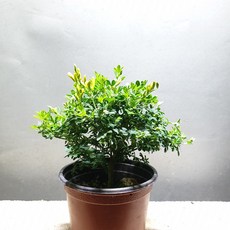 242f6e5f22c944e252196d9109d703ec7888c5a33692e4fac0aae1cd794f.jpg