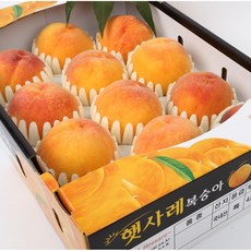 [산지직송] 고당도 햇사레 복숭아 백도 황도 2KG 3KG 4KG