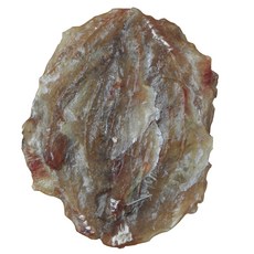 a3da61aaec69d318c59ffc619382d43b34a3fd2c43c873d1fb1f5d4b874f.jpg