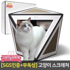 고양이를부탁해