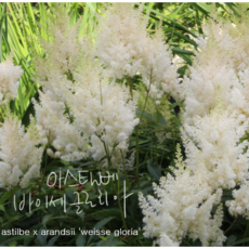 미지아스크린바