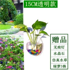 e3384cd1d0455eda019f639805c5912824cc3494cbe649182c996b39f046.jpg