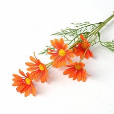 81d80a58c7aa20dd8dbfc952011c0c96710f870c2ece369bd8707ccbdfcd.jpg
