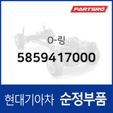 O-링 (5859417000) 그랜저TG 쏘나타NF 아반떼HD 에쿠스 제네시스 투스카니 싼타페 투싼 리베로 현대, 1개