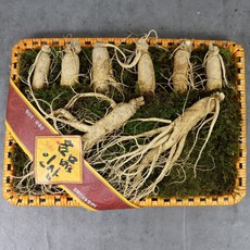 당시삼백수정선